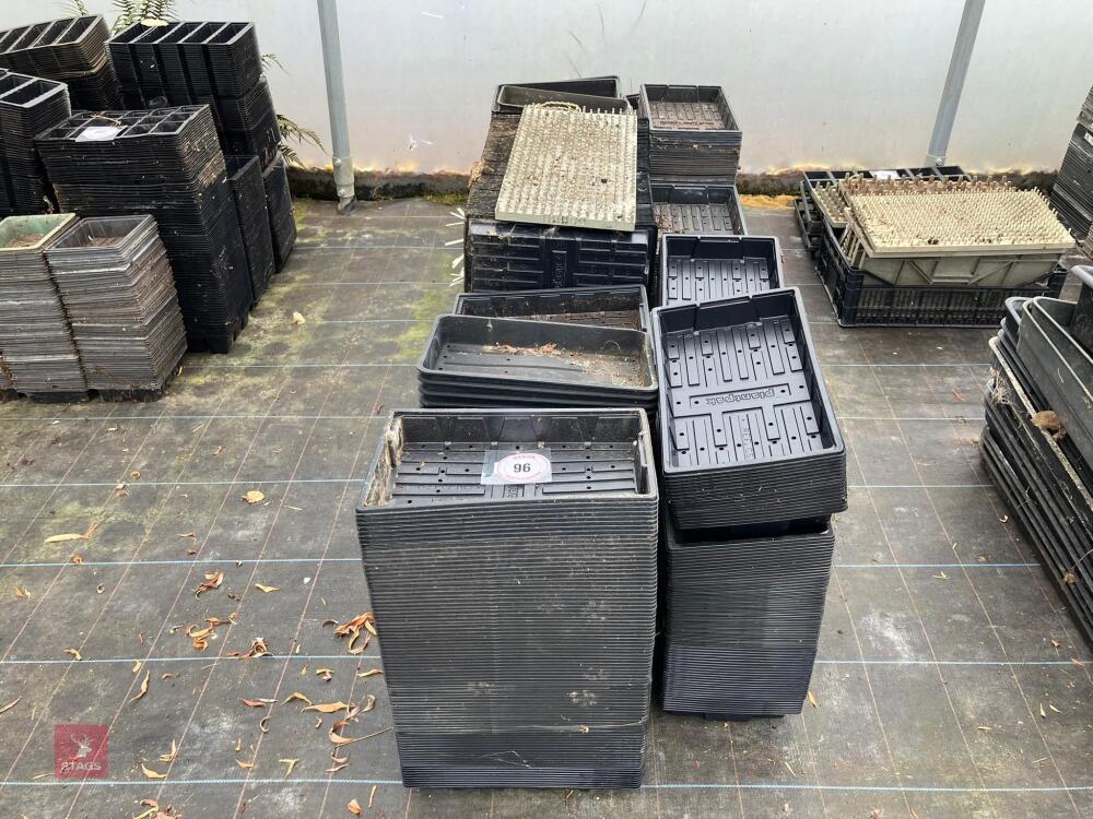 LARGE QTY OF SEED TRAYS