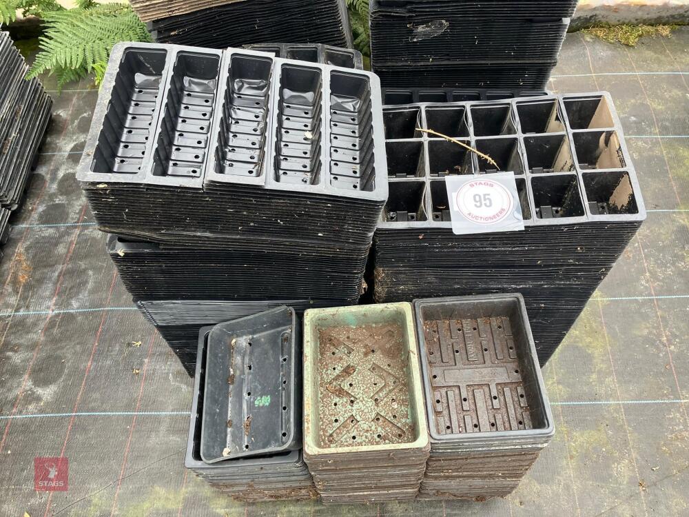 ASSORTED MIXED SEED TRAYS