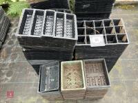 ASSORTED MIXED SEED TRAYS