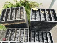 ASSORTED MIXED SEED TRAYS - 2