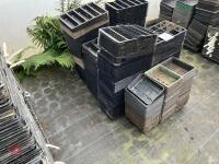 ASSORTED MIXED SEED TRAYS - 3