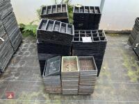 ASSORTED MIXED SEED TRAYS - 4