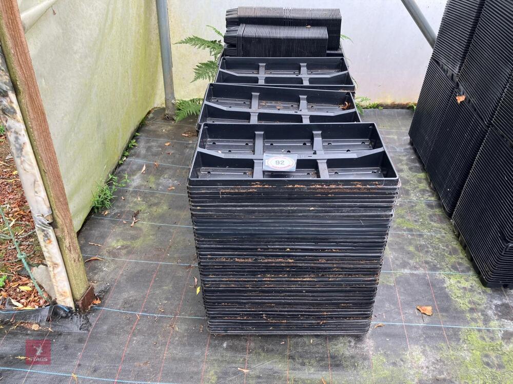 LARGE QTY OF MIXED SEED TRAYS