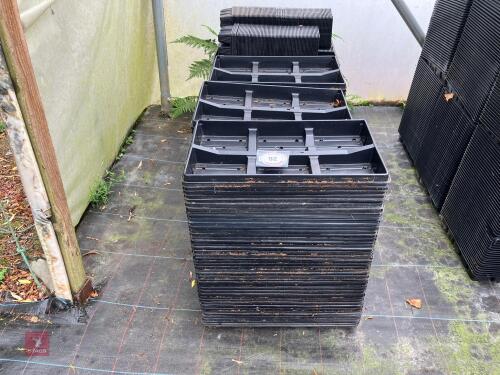 LARGE QTY OF MIXED SEED TRAYS