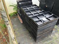 LARGE QTY OF MIXED SEED TRAYS - 4