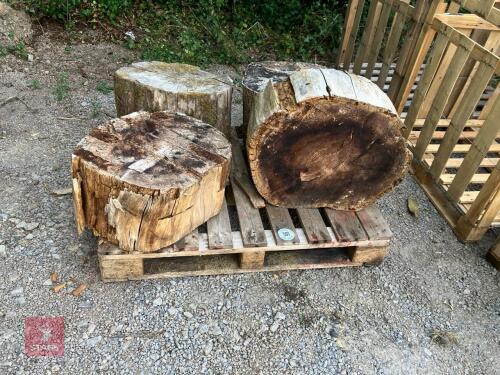 4 TREE RINGS