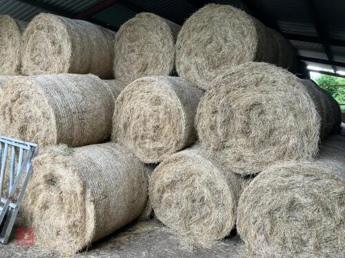 100 ROUND BALES OF 2025 HAYLAGE BIDS PER BALE