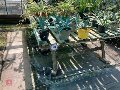 TRESTLE PLANT TABLES