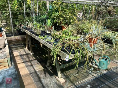 TRESTLE PLANT TABLES