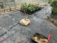 2 LARGE HEATED PROPAGATION TABLES - 10