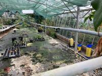 2 LARGE HEATED PROPAGATION TABLES - 16