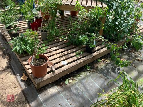 3M X 2M WOODEN RAISED PLATFORM
