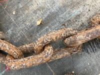 5M HD TOW CHAIN - 2