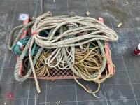 BOX OF HD ROPE - 3