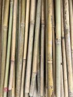 BAG OF BAMBOO CANES - 3