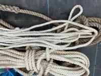 VARIETY OF UTILITY ROPE AND TWINE - 4