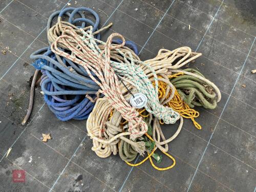 VARIETY OF CLIMBING ROPE