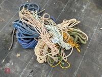VARIETY OF CLIMBING ROPE