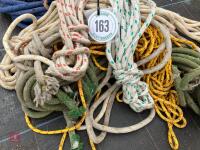 VARIETY OF CLIMBING ROPE - 2