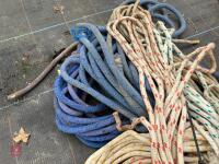 VARIETY OF CLIMBING ROPE - 3