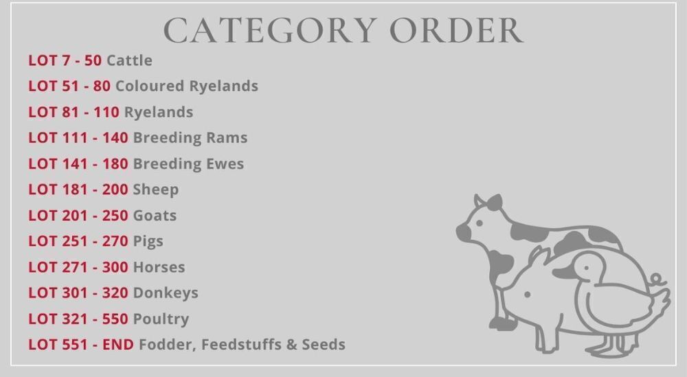SOUTH WEST SALE LOT CATEGORIES