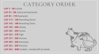SOUTH WEST SALE LOT CATEGORIES