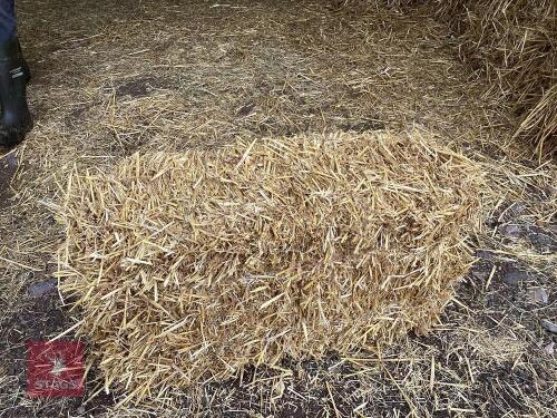 50 CONVENTIONAL BALES OF WHEAT STRAW BIDS FOR THE GROUP