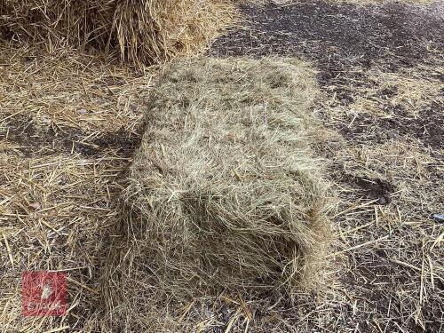 50 CONVENTIONAL BALES OF 2024 HAY BIDS FOR THE GROUP