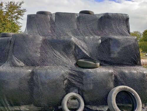 30 SQUARE BALES OF 2024 HAYLAGE