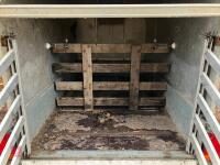 IFOR WILLIAMS P7E LIVESTOCK TRAILER - 11