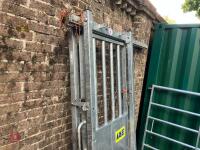 IAE CATTLE RACE SLIDING GATE - 9