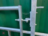 10' GALVANISED CATTLE HANDLING GATE - 5