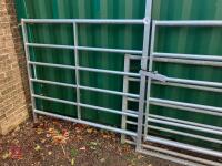 10' GALVANISED CATTLE HANDLING GATE - 8