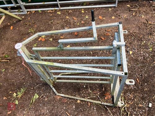 GALVANISED SHEEP RACE SHEDDING GATE