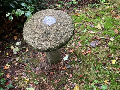 GRANITE MUSHROOM