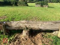 70CM HIGH CROSS COUNTRY 'LOG' JUMP - 6