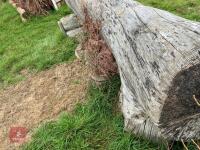 80CM HIGH CROSS COUNTRY 'LOG' FENCE - 7