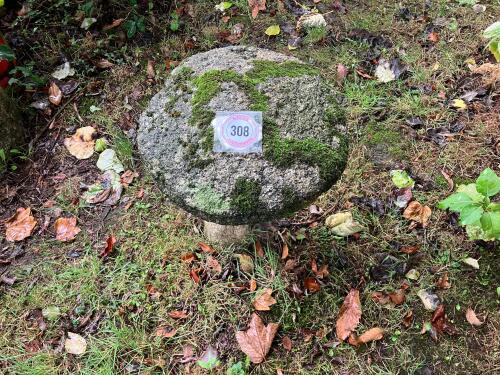 GRANITE MUSHROOM