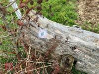 80CM HIGH CROSS COUNTRY 'LOG' FENCE - 9