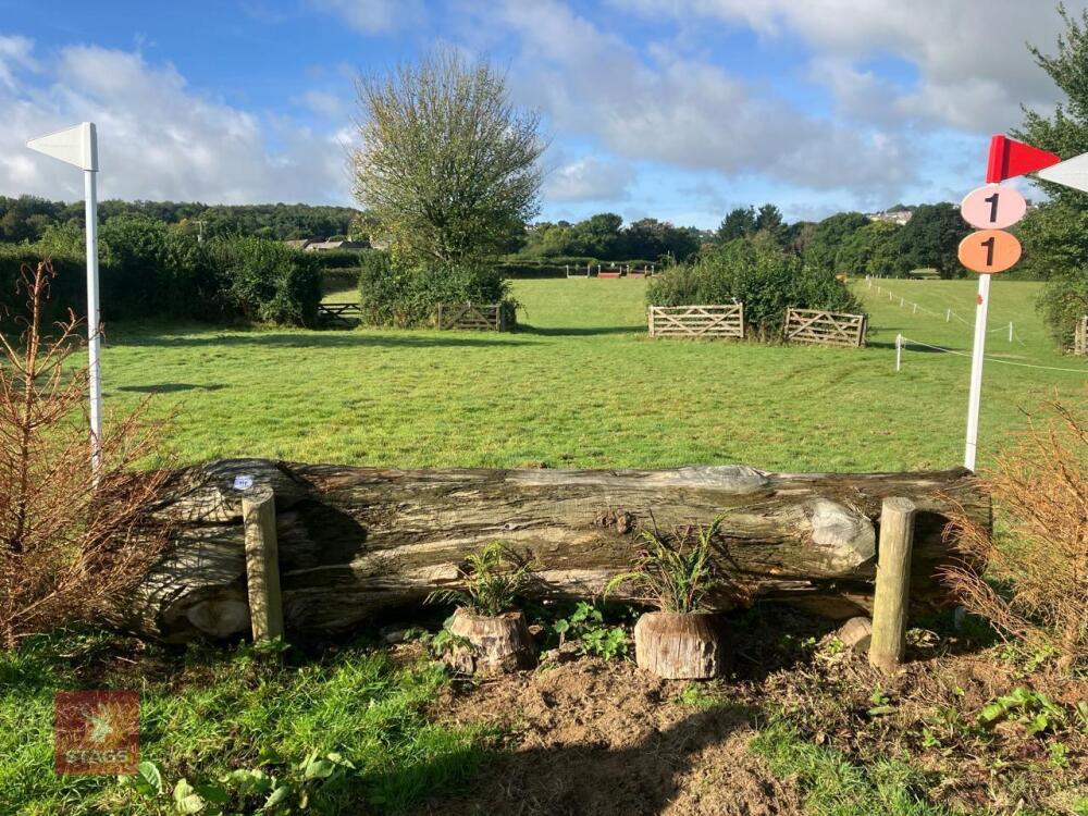 80CM HIGH CROSS COUNTRY 'LOG' FENCE