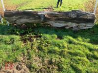 80CM HIGH CROSS COUNTRY 'LOG' FENCE - 4