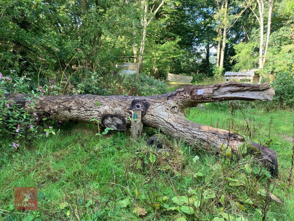 90CM HIGH XC 'LOG' FENCE