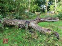 90CM HIGH XC 'LOG' FENCE - 2