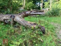 90CM HIGH XC 'LOG' FENCE - 3