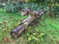 90CM HIGH XC 'LOG' FENCE - 9