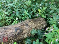 90CM HIGH XC 'LOG' FENCE - 14