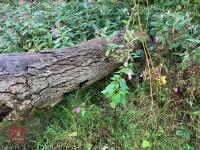 90CM HIGH XC 'LOG' FENCE - 16