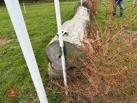 90CM HIGH XC 'LOG' FENCE - 3