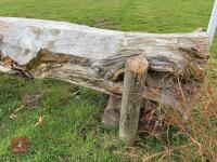 90CM HIGH XC 'LOG' FENCE - 11