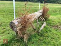 90CM HIGH CROSS COUNTRY 'LOG' FENCE - 5